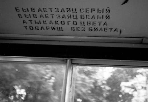 Fanų kalnai · 45 autobusu zuikiams