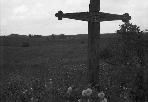 Žemaitija · 064 kryžius