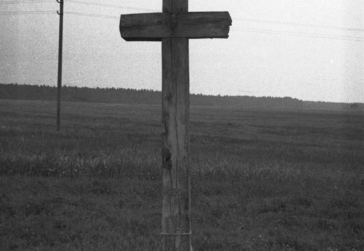 Žemaitija · 138 kryžius