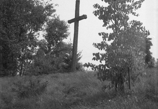 Žemaitija · 218 kryžius