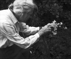 botanikos praktika 1986 · Prof. Marija Natkevičaitė - Ivanauskienė