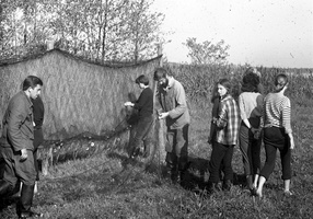 zoologijos praktika 1986 · Leonas Sadauskas, kiti prie tinklo