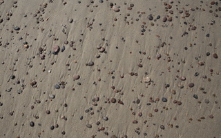 Juodkrantė · akmenukai prie jūros