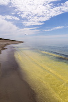 Juodkrantė · geltona jūra, pušų žiedadulkės, debesys