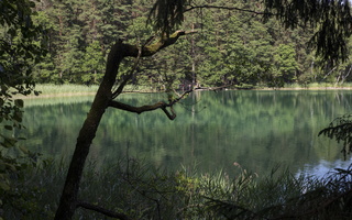 Spindžiaus ežeras · Žaliasis takas