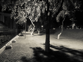 Kultūros naktis · Bernardinų sodas