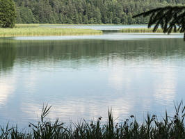 Spindžiaus ežeras P1060764