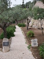 Mount of Olives · garden of Gethsemane