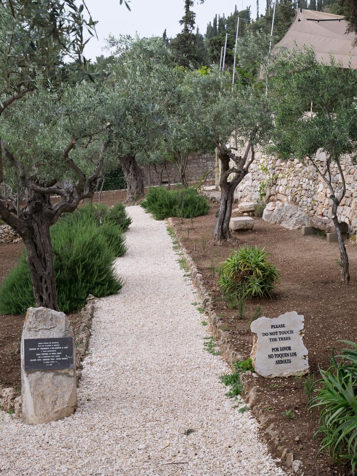 Jerusalem · Mount of Olives, garden of Gethsemane