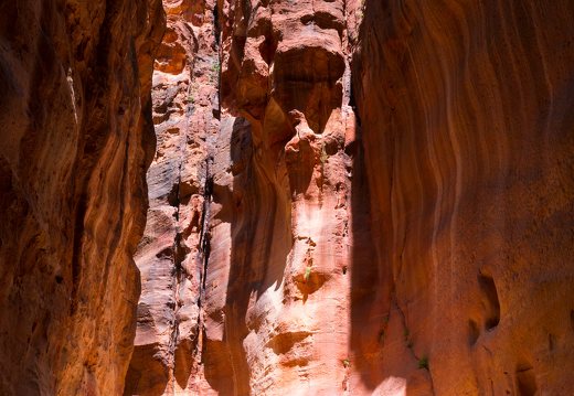 Petra · The Siq