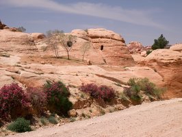 Petra · the Bab as-Siq, burial caves
