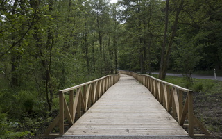 Juodkrantė · dviračių takas, medinis tiltas 4340