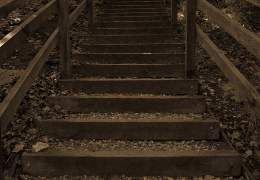 Kadagių slėnis · pažintinis takas, laiptai link Nemuno 8446