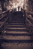 Kadagių slėnis · pažintinis takas, laiptai link Nemuno 8447