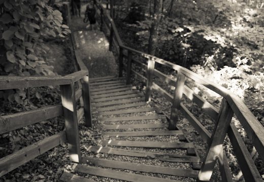 Kadagių slėnis · pažintinis takas, laiptai link Nemuno 8448