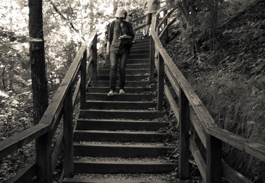 Kadagių slėnis · pažintinis takas, laiptai link Nemuno 8449