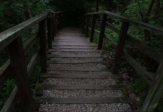 Kadagių slėnis · pažintinis takas, laiptai link Nemuno 8495