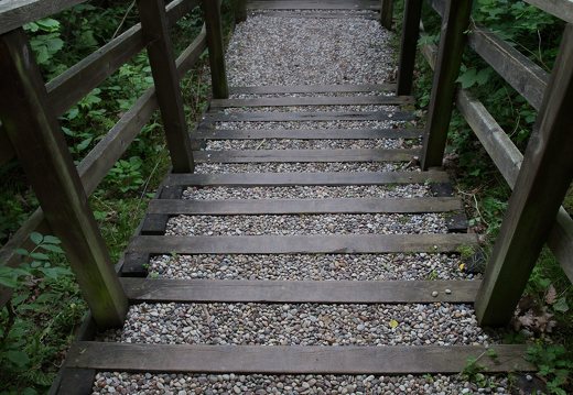 Kadagių slėnis · pažintinis takas, laiptai link Nemuno 8500