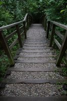 Kadagių slėnis · pažintinis takas, laiptai link Nemuno 8500
