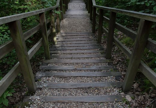 Kadagių slėnis · pažintinis takas, laiptai link Nemuno 8505