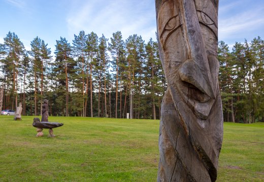 Sirvėtos regioninis parkas · medinė skulptūra Bėlio ežero aikštelėje 9315