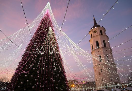 Vilnius · Kalėdų eglė