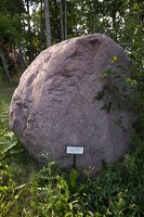 Taujėnų dvaras · parkas, akmuo