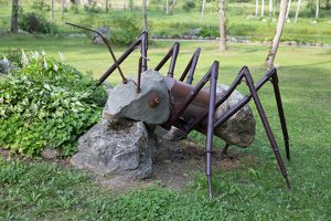 Taujėnų dvaras · parkas, skruzdės skulptūra