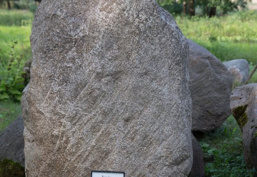 Taujėnų dvaras · parkas, akmuo
