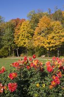 botanikos sodas · jurginai rudenį