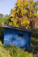 botanikos sodas · mėlynas sandėliukas rudenį