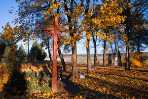 senosios Onuškio kapinės · partizanų kapai 6952