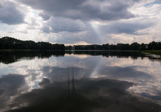 Veisiejų dvaro parkas · ežeras Ančia