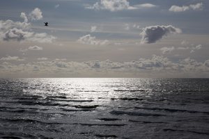 Juodkrantė · jūra, bangos, debesys