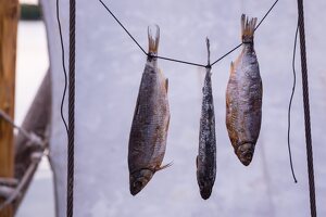 Nidos kurėno „Kuršis“ džiovintos žuvys