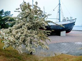 Klaipėda, Kopgalis · Lietuvos jūrų muziejus, senųjų žvejybos laivų aikštė